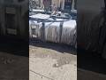 Kwasowie aluminium , bez szorowana. Efekt wow #truck #aluminium #4expert #trucker #transport