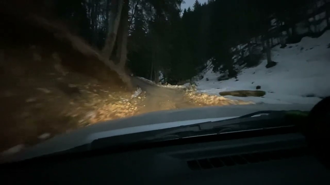 Urcare la Cabana Ciucas 25.03.2023