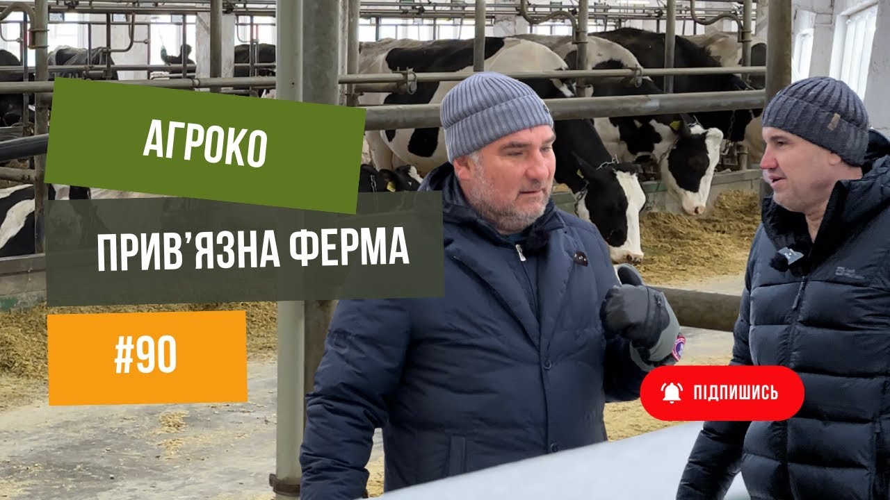#90 Бізнес на коровах 🐄. Привʼязна ферма, телята, комбікормовий завод.