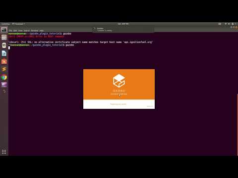 Gazebo [Err] [REST.cc:205] Error in REST request.
