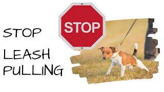Stop Leash Pulling
