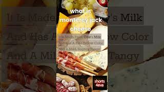 what is monterey jack cheese#shorts#shortsfeed