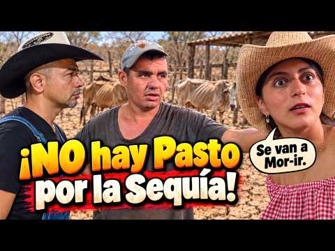 PREOCUPANTE! El Chero le da Una fuerte Noticia a Camarón Sobre el Ganado 😱