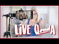 Live QandA with Jovie and Daan!