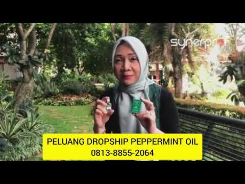 0813-8855-2064-|-peluang-bisnis-dropship-peppermint-synergy-|-menjaga-daya-tahun-tubuh