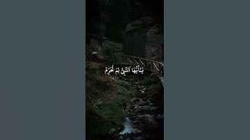 سورة التحريم بصوت الشيخ أنس العمادي