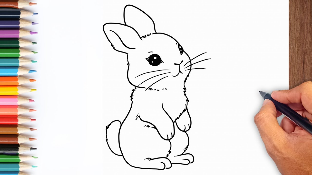 How to draw Baby Rabbit step by step - Baby Rabbit Drawing Ideas