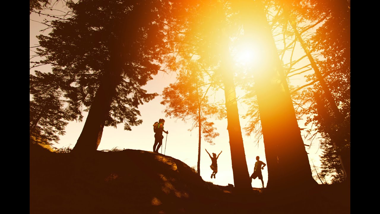 Life of Zen Music | 1 Hour Travel Music For Hiking And Concentration