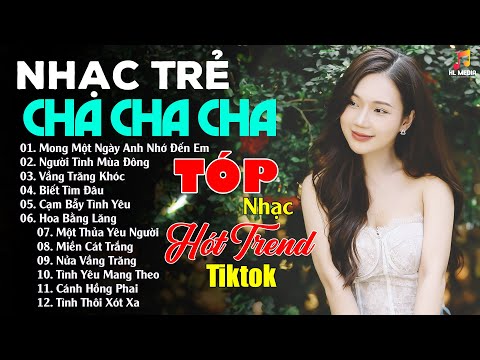 Liên Khúc Nhạc Trẻ CHA CHA CHA Hay Nhất - KHÔNG QUẢNG CÁO , TÓP Nhạc Hót Trend Tiktok 2024