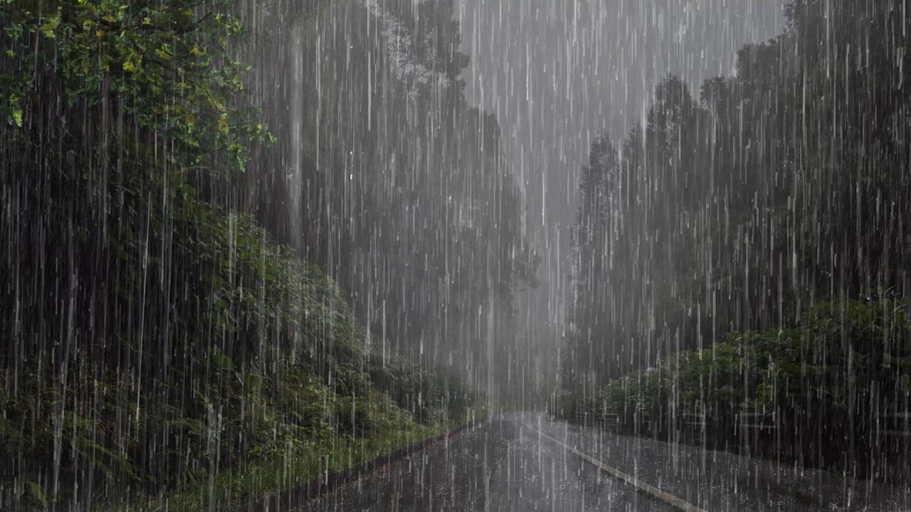Lluvia Relajante Para Dormir y Descansar Profundamente en 5 minutos - Sonido de Lluvua en el Bosque