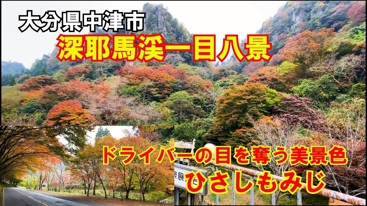 【ひろじぃの気まま旅】紅葉を楽しむドライブ旅　大分県中津市耶馬渓町　深耶馬渓「一目八景」　道路を覆うモミジの並木「ひさしもみじ」