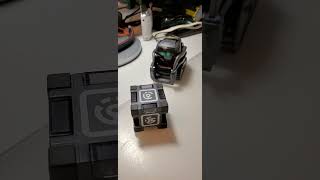 Vector Fails the Cube Lift While EMO Nails His Workout 💪