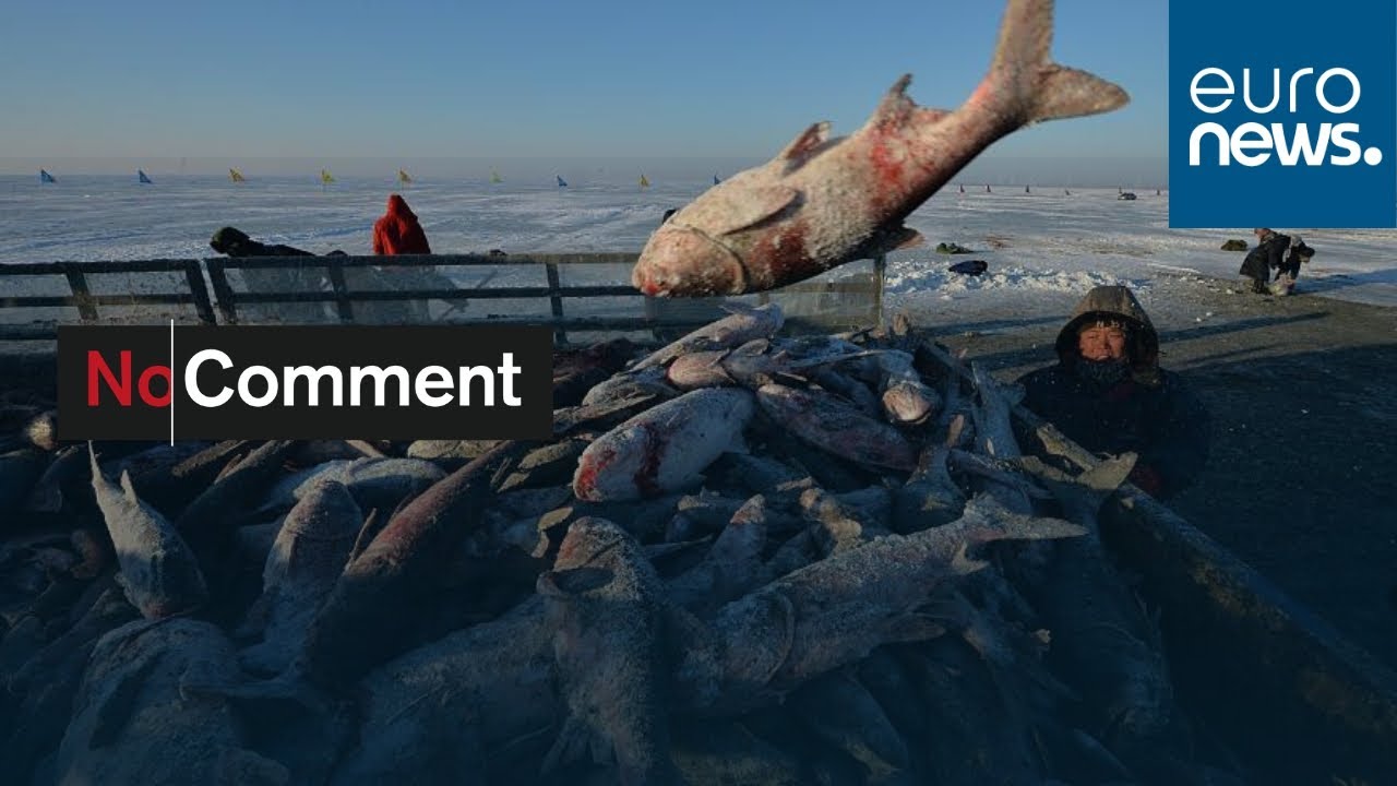 Chine: un concours de pêche dans l'est_French.news.cn