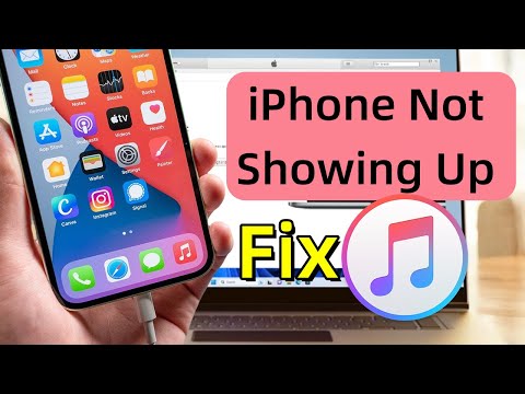 iPhone Not Showing Up in iTunes? Fix iTunes Not Detecting iPhone (6 Ways)