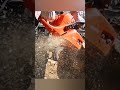 letting the echo Timberwolf dig it's teeth in #canada #chainsaw #firewood #echo #timberwolf #silent