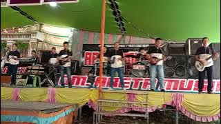 INSTRUMENTALIA - ORANG ASING || OM. ARETA MUSIK || LIVE DESA PENGGAGE - SANGADESA