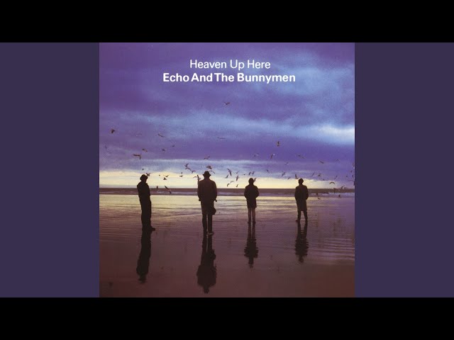 Echo And The Bunnymen - It Was a Pleasure