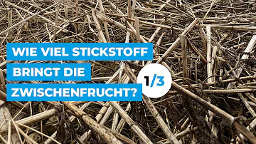 Wie viel kg Stickstoff?