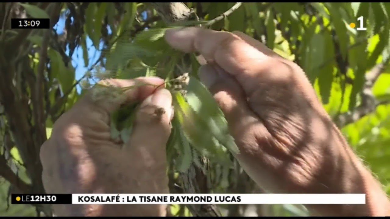 Kosalafé Raymond Lucas Ti mang