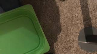 Perfect Phoenix Vs Wonder Valtryek V4