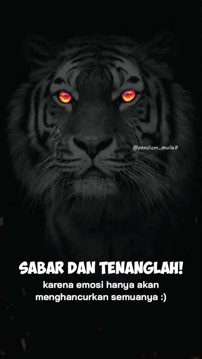 Story WhatApp terbaru 2021 khodam macan putih