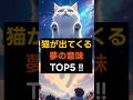 「猫が出てくる夢の意味TOP5 !!」#夢占い #夢診断