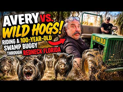 Swamp Buggy Tour through Hog Heaven...