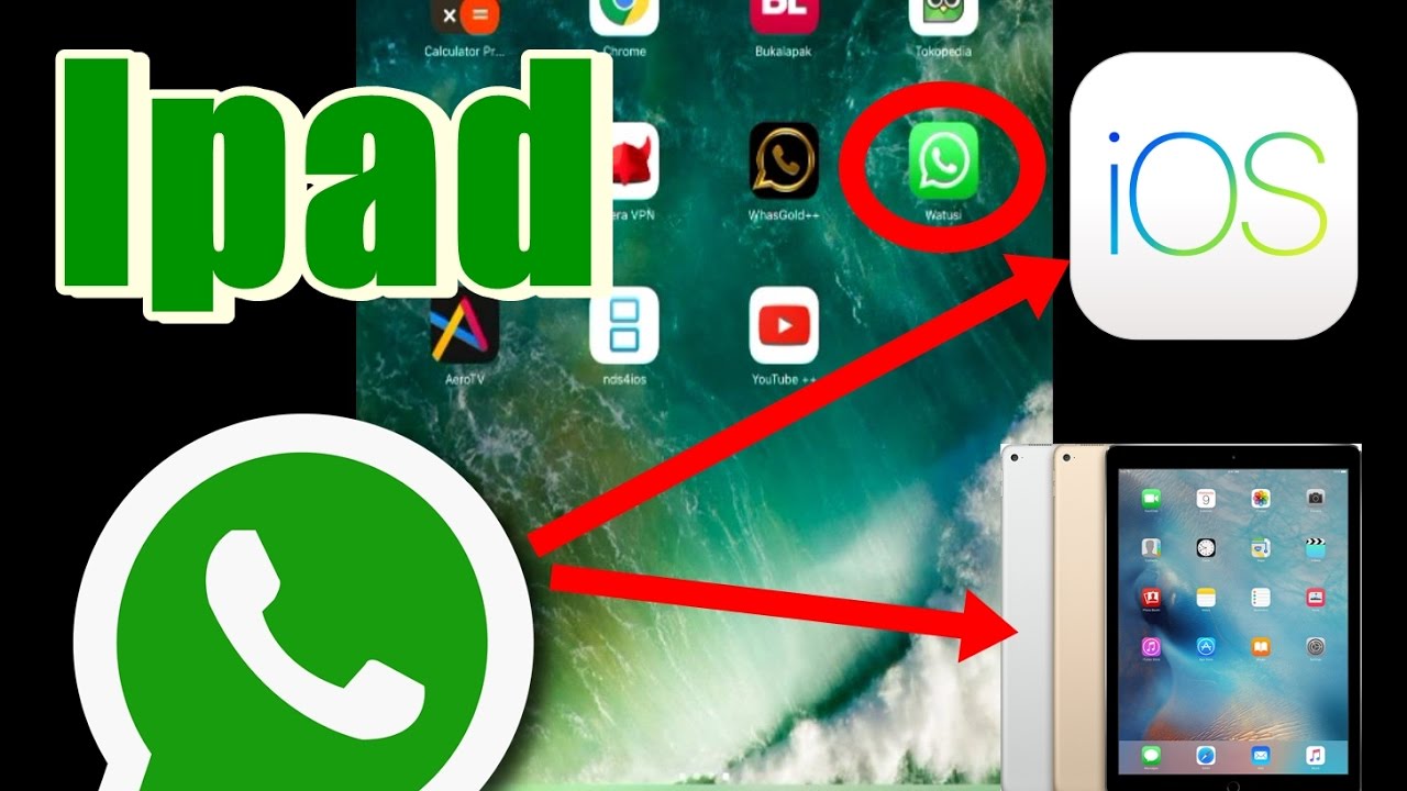 CARA INSTAL Whatsapp on Ipad No Jailbreak YouTube