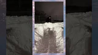 思った通り笑 #shorts