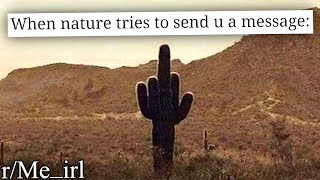 r/Me_irl | memes that make you go OW OOF CACTUS SPIKY OOCHIE