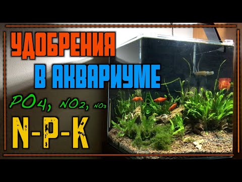 Удобрения для аквариумных растений | Зачем удобрения растений | Удобрения в аквариуме | NPK