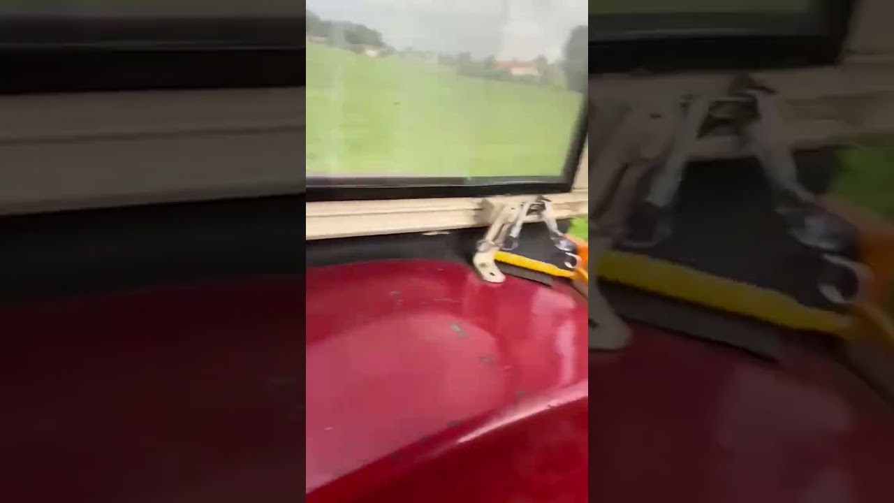 Doppelmesser Mähwerk Busatis 1102 | Neuanschaffung | IHC 633 | Lezter Futtergras schnitt 2022