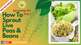 Sprouting 101 - Part 1 How to Sprout From Home.
