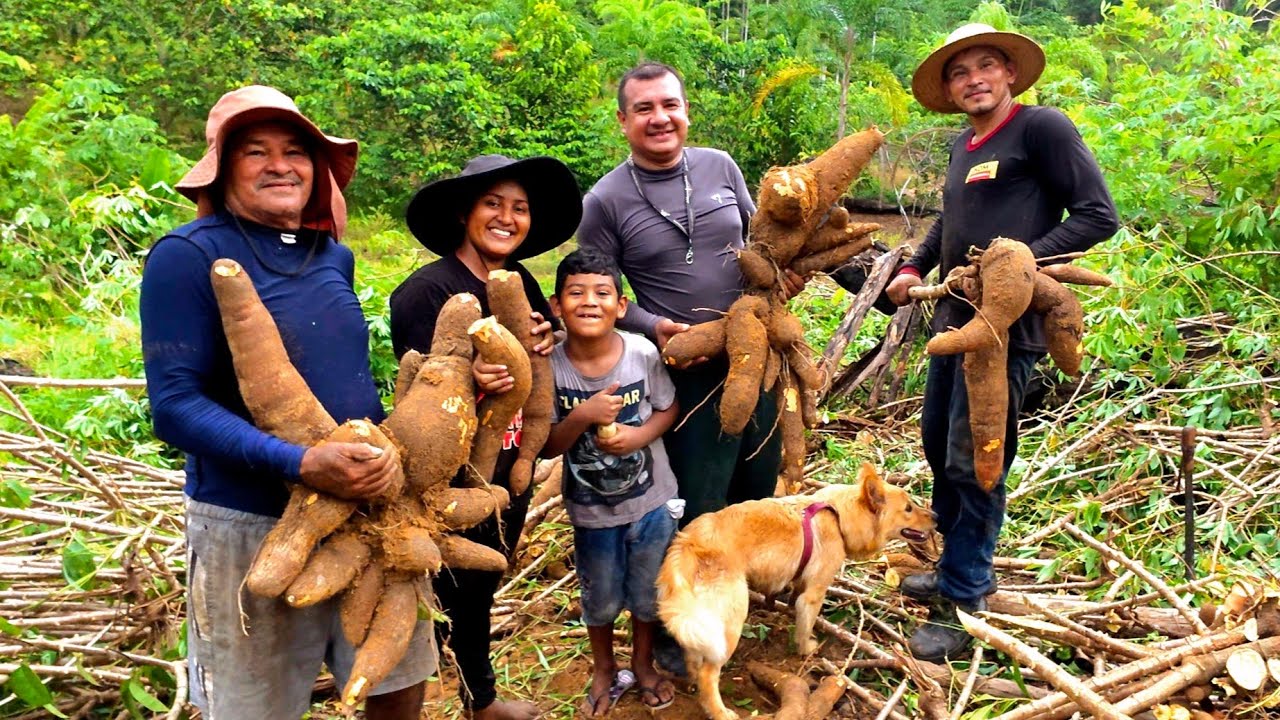 ​Vida na Roça: O primeiro passo para fazer a farinha artesanal