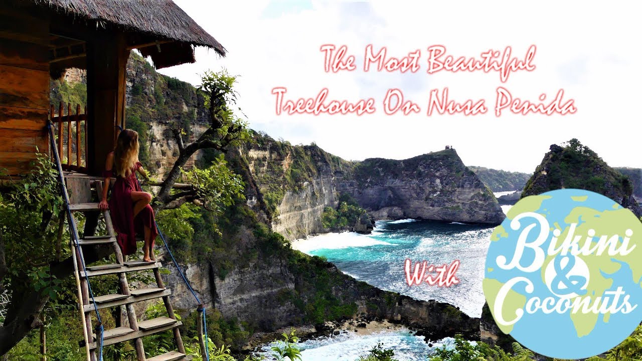  Rumah  Pohon beautiful Treehouse on Nusa  Penida  Bali 2019 