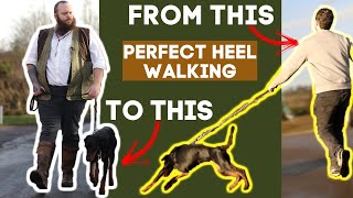 How To Teach Your Dog To Walk To Heel In Seconds screenshot 4