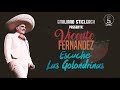 Vicente Fernandez ~ Escuche Las Golondrinas "LETRA" | Emiliano Sticlerck