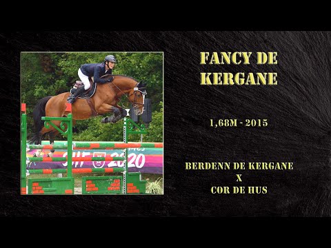 FANCY DE KERGANE