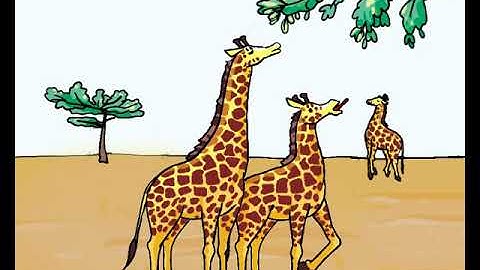 Animation 30.1 Natural selection