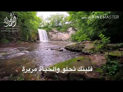 فليتك تحلو والحياة مريرة