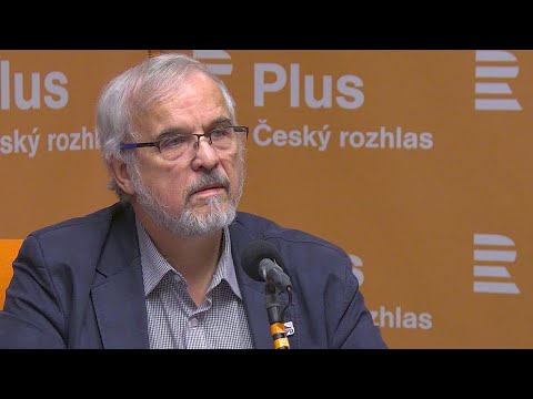 Ivan David: Politici,