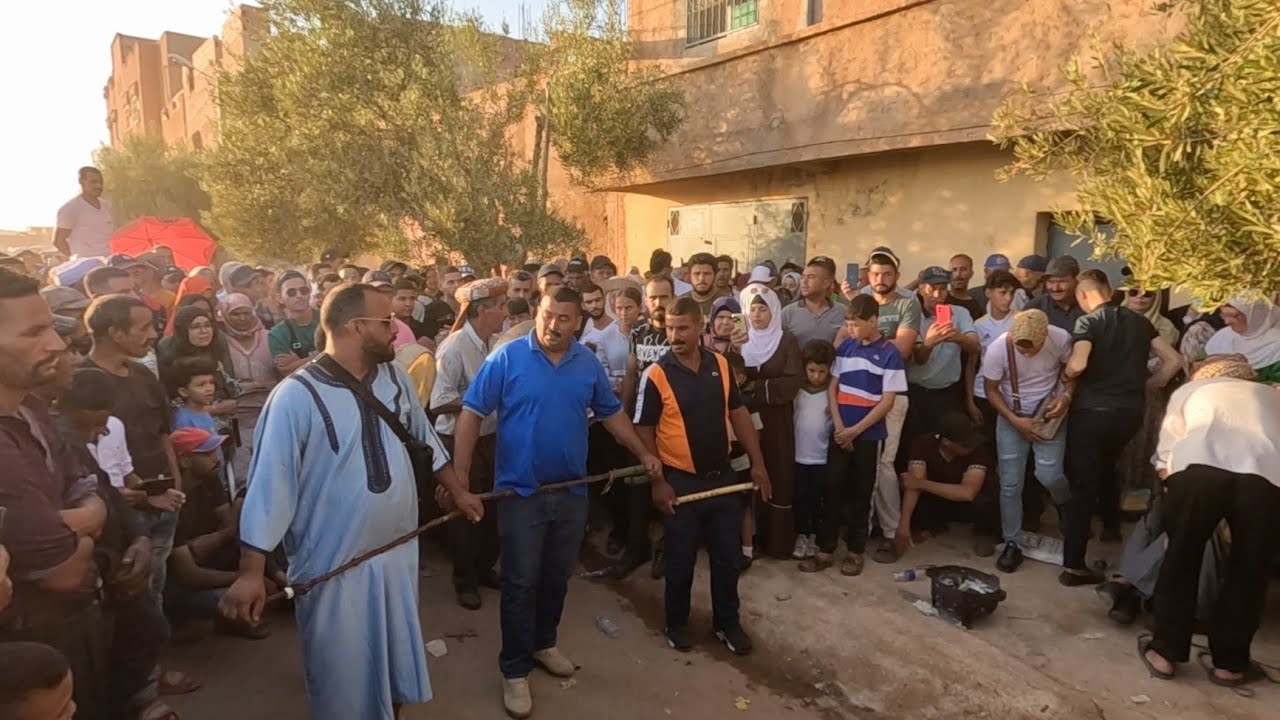 برطية علاوي رائعة  وعدة بني درار 2024 3lawi  #علاوي #شيوخ #ركادة