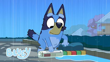 Can Bluey Build a Dam? | Rain - Series 3| Bluey