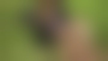 Soldier and saboteur 07