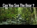 Nobody Can Find All The Hidden Animals | Optical Illusions | Brain Teasers