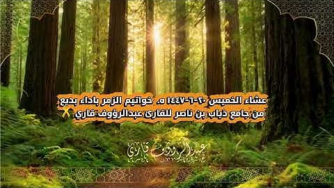 عشاء الخميس ٢٠-٦-١٤٤٧ هـ خواتيم الزمر باداء بديع من جامع ذياب بن ناصر للقارئ عبدالرؤوف قاري 🎗️