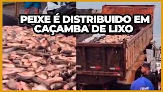 Distribuição De Peixes Para A População Em Caçamba De Lixo No Maranhão - Confira Casos Revoltantes
