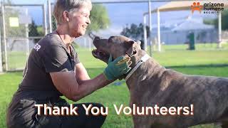 Amazing Volunteers Like You Help AHS Save Pets