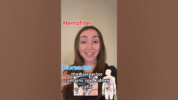 The Future of Dialysis? The Artificial Implantable Kidney Explained!