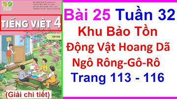 Tiếng Việt Lớp 4 Bài 25 Tuần 32 | Khu Bảo Tồn Động vật Hoang Dã Ngô-Rông-Gô-Rô | Trang 113 | Kết Nối